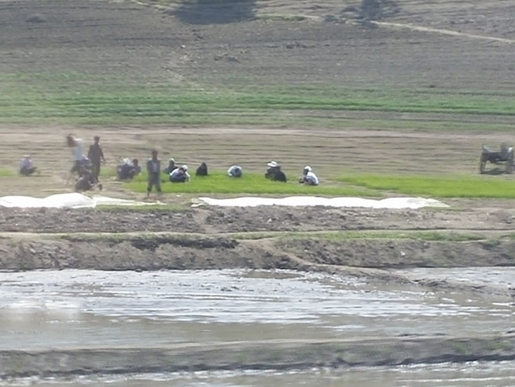 /upload/2015_06/dprk-jour-1-6.jpg