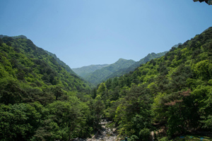 /upload/2015_06/mini/dprk-jour-2-14.jpg