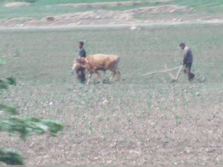 /upload/2015_06/mini/dprk-jour-3-14.jpg